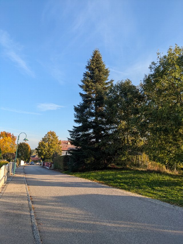 Weihnachtsbaum Taiskirchen für Ried